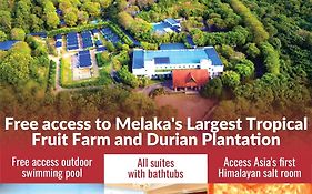 The Orchard Resort & Spa Melaka I World Spa Awards Winner I Free Access To Outdoor Spa Pool  5*